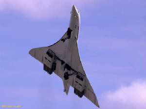 concorde4.jpg